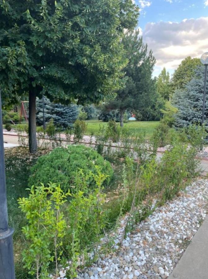 Tranzzit Airport Apartment II Отопени Екстериор снимка